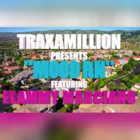 Artwork for Mood RN (feat. Flammy Marciano) by Traxamillion