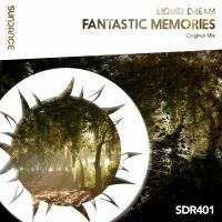 Artwork for Fantastic Memories by Liquid Dream