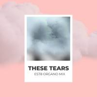 Artwork for These Tears (Est8 Organo Mix) by Spiritchaser