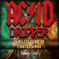 Artwork for Acid Dropper by Shelco Garcia