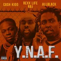 Artwork for Y.N.A.F. (feat. Rexx Life Raj & Cash Kidd) by ALLBLACK