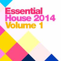 Artwork for Essential House 2014 Vol.1 by Various Artists