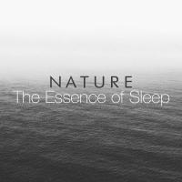 Artwork for Nature: The Essence of Sleep by Nature Sounds For Sleep and Relaxation