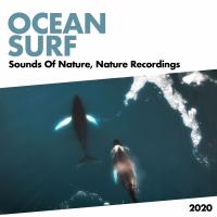 Artwork for Ocean Surf by Sounds Of Nature