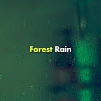 Artwork for Forest Rain by Rain Sounds