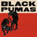 Artwork for Black Cat