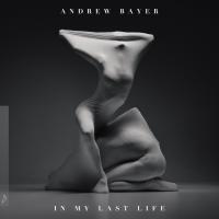 Artwork for In My Last Life by Andrew Bayer