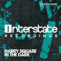 Artwork for In The Dark by Harry Square