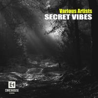 Artwork for Secret Vibes by Various Artists