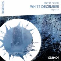 Artwork for White December by David Surok