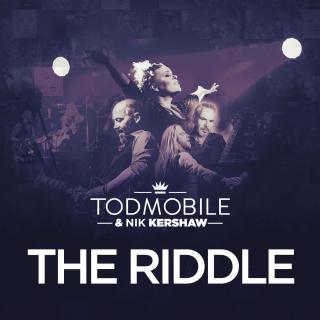 Artwork for The Riddle