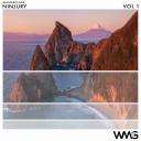 Artwork for Homage (Ninjury Radio Remix)