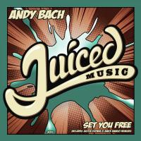 Artwork for Set You Free by Andy Bach