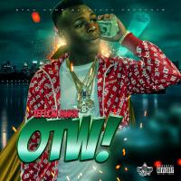 Artwork for OTW! by Teflon Mark