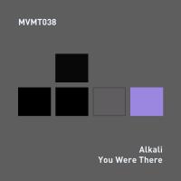 Artwork for You Were There by Alkali
