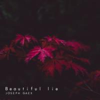 Artwork for Beautiful Lie by Joseph Gaex