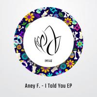 Artwork for I Told You EP by Aney F.