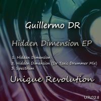 Artwork for Hidden Dimension / Spectrum by Guillermo DR