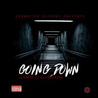 Artwork for Going Down (feat. Vee tha Rula) by Q Banga