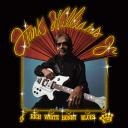 Artwork for .44 Special Blues