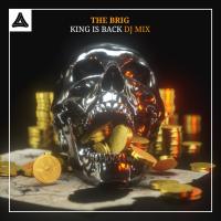 Artwork for King Is Back (DJ Mix) by The Brig