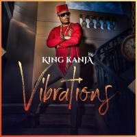 Artwork for VIBRATIONS by King Kanja