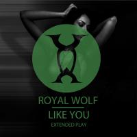 Artwork for Like You by Royal Wolf