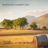 Artwork for Bokesound Summer 2020 by Various Artists