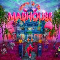 Artwork for Welcome To The Madhouse (Deluxe) by Tones And I