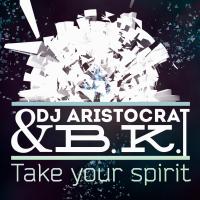 Artwork for Take Your Spirit by DJ Aristocrat