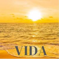 Artwork for Vida by LIFE