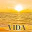 Artwork for Vida