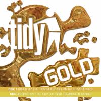 Artwork for Tidy Gold by Lisa Pin-Up