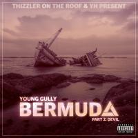 Artwork for Bermuda, Pt. 2: Devil by Young Gully