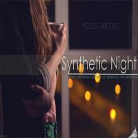 Artwork for Synthetic Night by Moses Cardoso