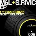 Artwork for Cosmo Bird (Original Mix)