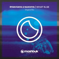 Artwork for What Else by Ryan Raya