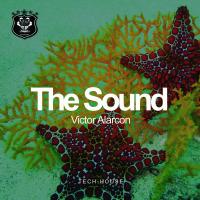 Artwork for The Sound by Victor Alarcon