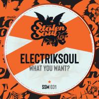 Electriksoul