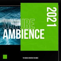 Artwork for Nature Ambience by Whale Sounds