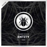 Artwork for Entity by Kaiser Souzai