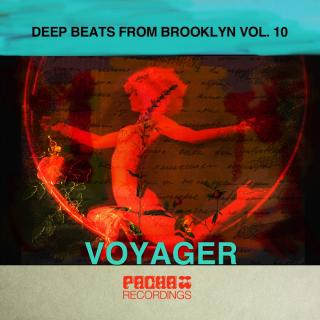 Artwork for Voyager (Ivan Melnik Remix)