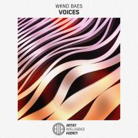 Artwork for Voices by WKND BAES