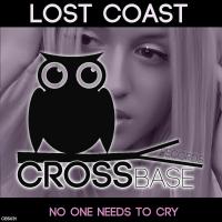 Artwork for No One Needs To Cry by Lost Coast