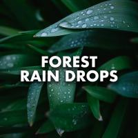 Artwork for Forest Rain Drops by Rain Sounds