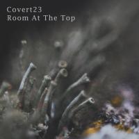 Artwork for Room At The Top by Covert23