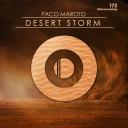 Artwork for Desert Storm