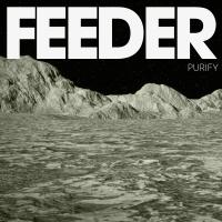 Artwork for Purify by Feeder