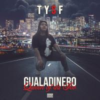 Artwork for Gualadinero by TYSF