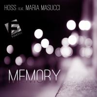 Artwork for Memory by Hoss